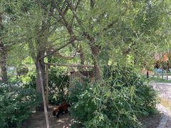 -鄂尔多斯野生动物园