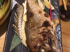-ジャンボ釣船 つり吉(新世界店)