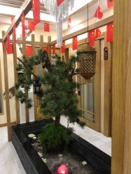 -芳朵美容养生SPA