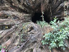 -茂德公草堂
