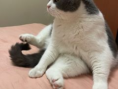 -蒋六十八梯眼镜面(渝中店)