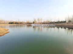 -东郊湿地公园