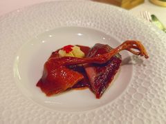 -蝶舍·MAISON PAPILLON