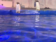 -鄂尔多斯野生动物园