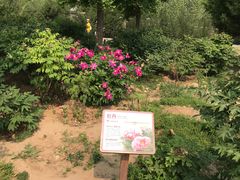 -北京西山国家森林公园