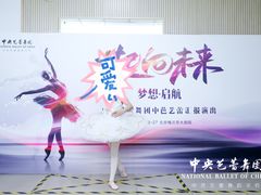 -中央芭蕾舞团·中芭艺蕾(酒仙桥明星校区)
