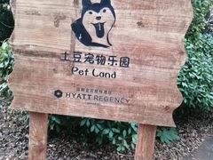 -崇明金茂凯悦酒店.宴会厅