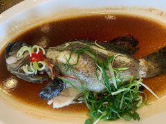 -欢乐海岸美食联盟