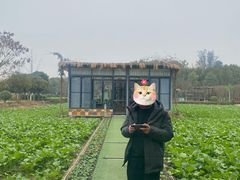 -洪湖家庭农场·团建·露营·会议