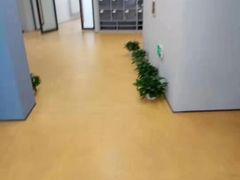 -艾儿思国际幼托园(双井园店)