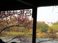 -重庆彩云湖湿地公园