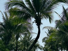 -味餐厅·海鲜·火锅·自助餐