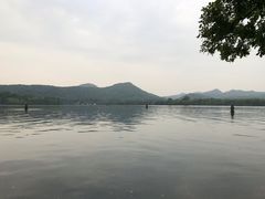 -西湖外事游船(花港观鱼码头)