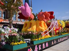 -荷兰花海