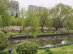 -中央公园(苏州工业园区)