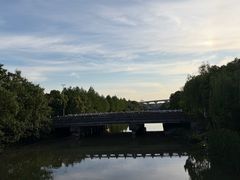 -南翔镇银翔湖公园