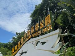 -西双版纳原始森林公园