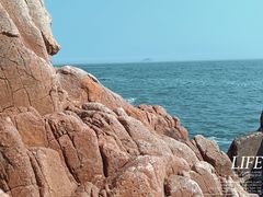 -八大关景区