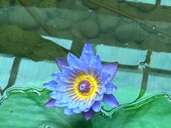 -利群海琴购物广场(商丘路店)