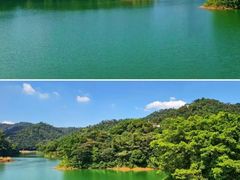 -佛山市三水区大南山森林公园
