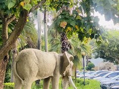 -河源御临门度假村温泉