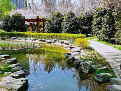 -木塔寺遗址生态公园