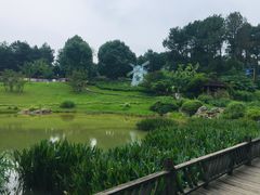 -铁山坪森林公园