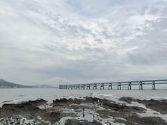 -大连星海广场音乐喷泉