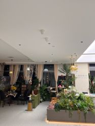 -碧莲盛·脱发养发中心