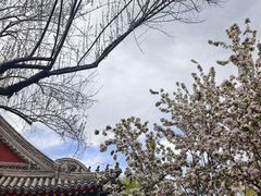 -莲池书院博物馆
