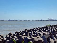 -上海滨江森林公园