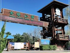 -古塔公园