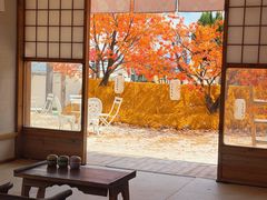 -Blue Concept Cafe&Farm·關於藍