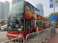 -Big Bus Tours 敞篷观光巴士