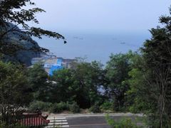 -大鹿岛