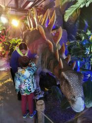 -恐龙探索乐园(磁器口店)