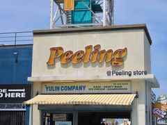 -巨鹏飞梦幻海岸