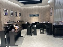 -知音艺术教育培训·钢琴培训·音乐培训(河西金鹰世界校区)