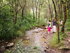 -碓臼峪自然风景区