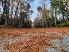 -上海海湾国家森林公园