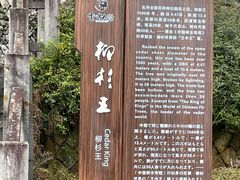 -云中大漈