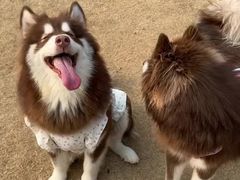 -凤凰汇购物中心