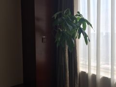 -无锡日航饭店