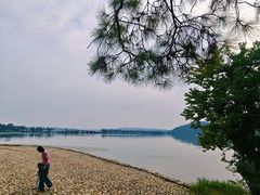 -东湖落雁景区
