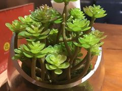 -觅山云南菜(泊富ICITY店)