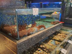 -乾隆美食·本帮菜(黄河路店)