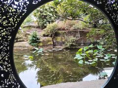 -桂湖森林公园