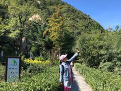 -北京鹫峰国家森林公园