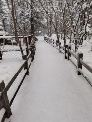 -大秃顶子山