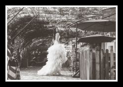 G97A5161-费拉摄影(天廊T66店)